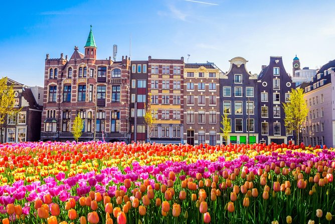 Amsterdam Day Trip from Brussels - Your 4 hours on your own: how to make it count