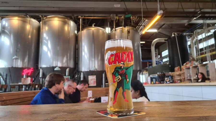 Antwerp: Pub Crawl in the Historical City - Guides like Flip de gids: training, flexibility, and keeping you in the moment