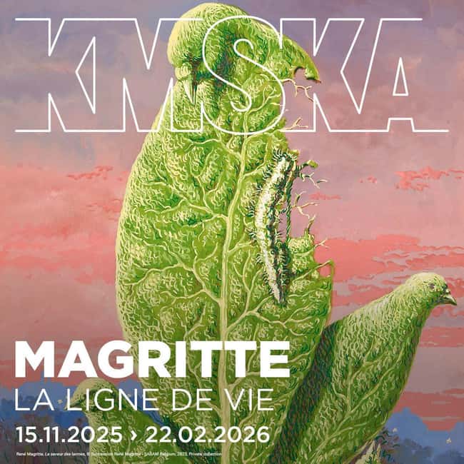 Antwerp: Royal Museum of Fine Arts Entry Ticket - Key highlights to know before you go