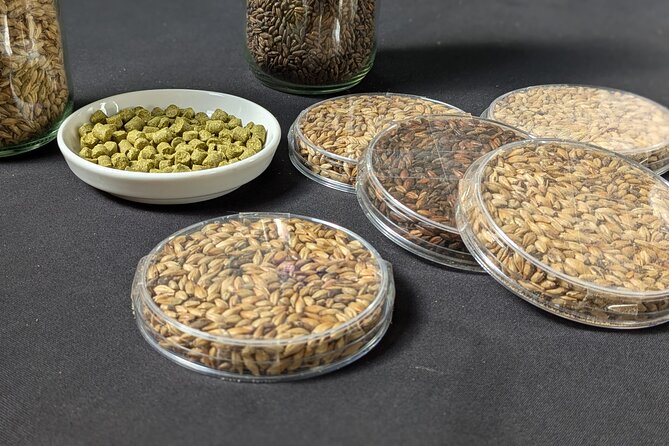 Beer tasting in a Brussels Micro Brewery and Distillery - Who should book this Brussels beer-and-distillery tour