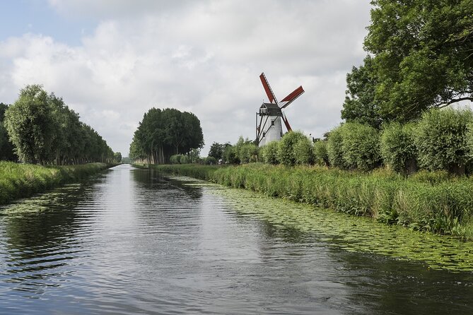 BikeTour Bruges & Damme in Spanish and English - Stop 5: Through polders, corn fields, and vineyards on the return ride