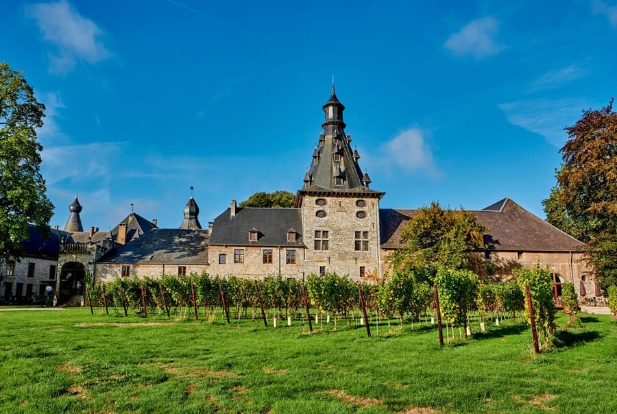 Bioul (near Dinant) : Château de Bioul Tour and Wine Tasting - Key things that make Château de Bioul worth your time