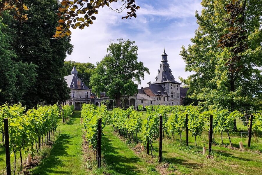 Bioul (near Dinant) : Château de Bioul Tour and Wine Tasting - First impressions at Château de Bioul, near Dinant