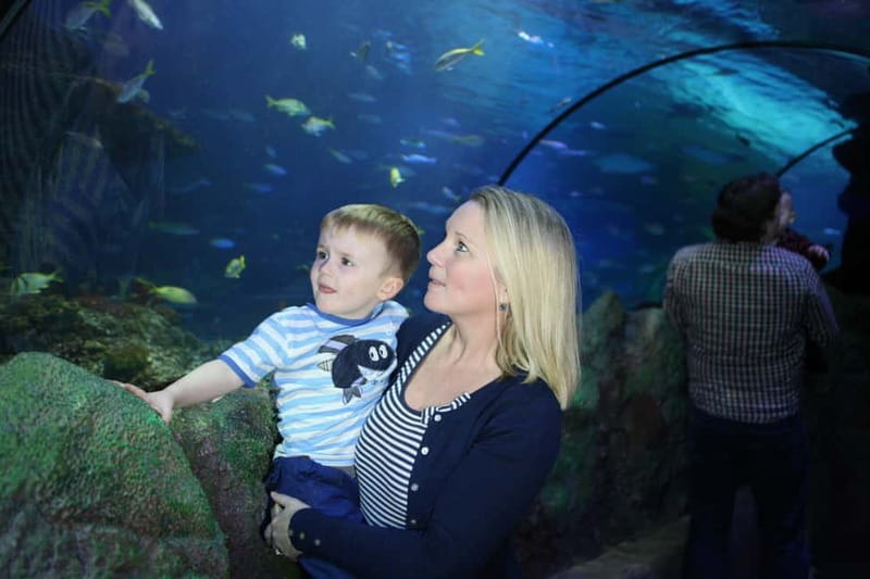 Blankenberge: SEA LIFE Entry Ticket - Key highlights not to miss