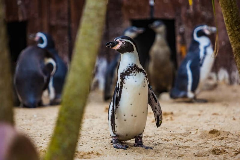 Blankenberge: SEA LIFE Entry Ticket - Getting your bearings inside SEA LIFE Blankenberge