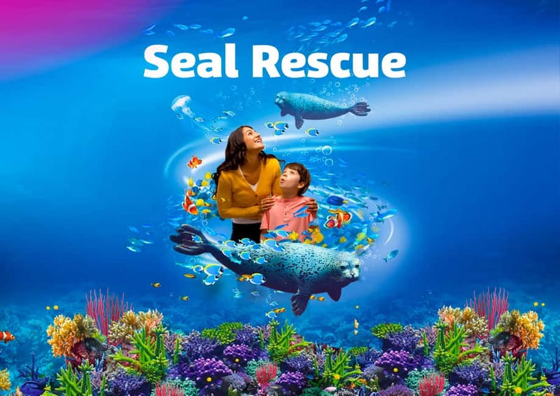 Blankenberge: SEA LIFE Entry Ticket - Seal clinic and quarantine: the rescue story behind the visit