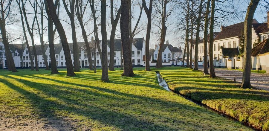 Bruges: 2.5-Hr Walking Tour from train station to Markt - Lake of Love and the Beguinage: A Softer Bruges Scene