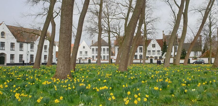 Bruges: 2.5-Hr Walking Tour from train station to Markt - A Route Built Around Canals, Squares, and Church Power