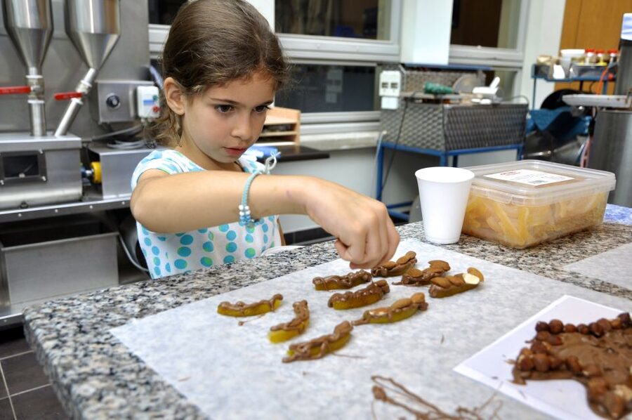 Bruges: Chocolate Making Workshop and Chocolate Museum Entry - The One-Hour Workshop That Actually Feels Hands-On