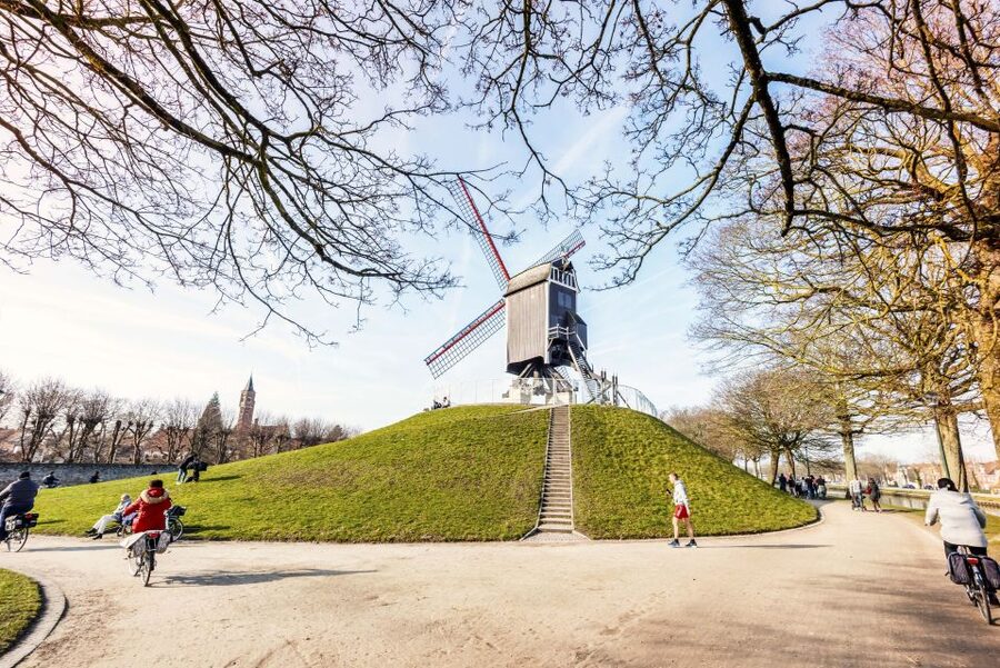 Bruges: Musea Brugge Card with Entry to 11 Museums - How to Plan Your 3 Days Without Feeling Rushed