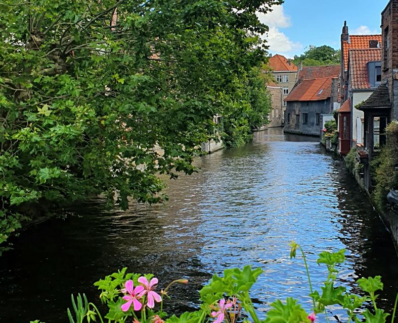 Bruges: Small Group Boat Cruise and Guided Walking Tour - 40 minutes on the water, where swans and bridges do the talking