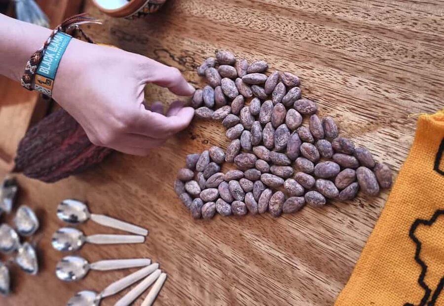 Brussels: 1h-Bean-to-Bar Chocolate Making Workshop - The 1-Hour Bean-to-Bar Flow: What Happens and Why It Feels Fast