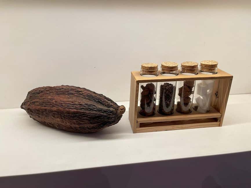 Brussels: Chocolate Appreciation and Tasting Walking Tour - Meeting in Saint Hubert’s Royal Galleries at Galerie du Roi 10