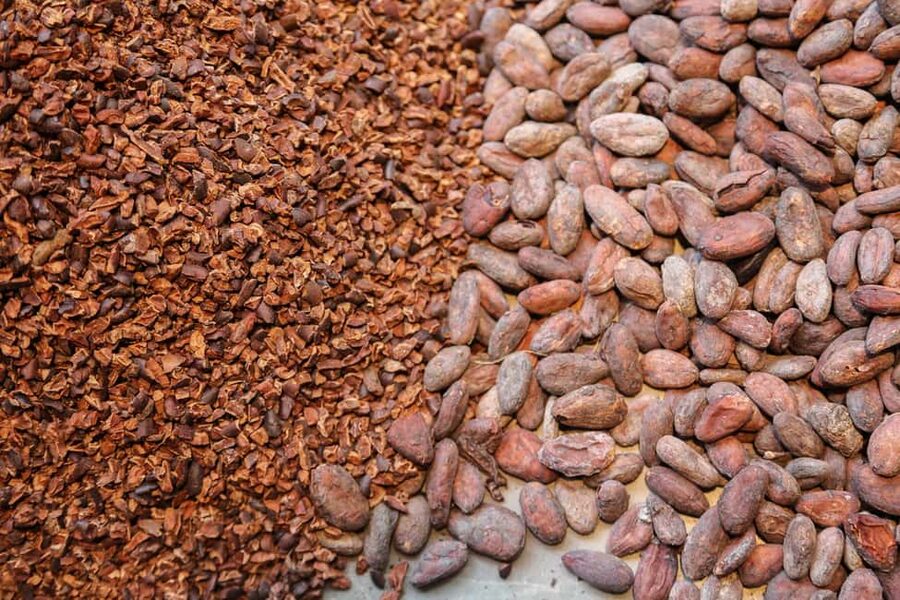 Brussels: Chocolate Appreciation and Tasting Walking Tour - Who should book this chocolate walking tour
