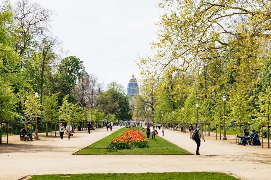 Brussels: City Highlights and Hidden Gems Bike Tour - Who This Tour Fits Best (and Who Might Skip It)