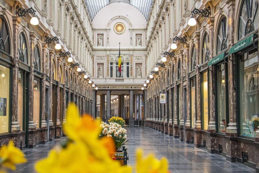 Brussels: Express Walk with a Local in 60 minutes - Grand Place and Manneken Pis in a 60 to 90 minute rhythm