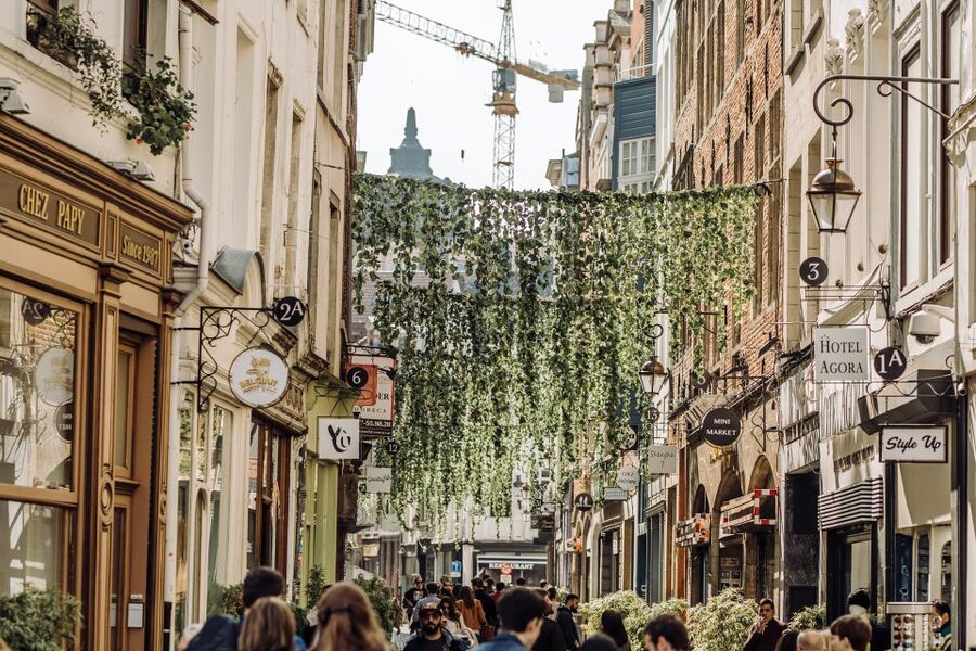Brussels: Private & Custom Tour of the European Quarter - Should You Book This Brussels European Quarter Private Tour?