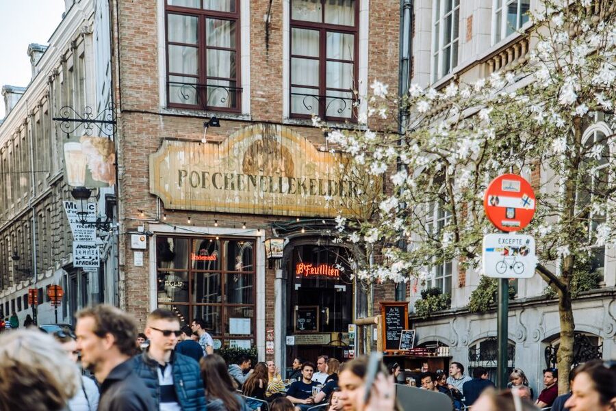 Brussels Private Tour with a Local- Highlights & Hidden Gems - Tintin Comic Mural and Manneken Pis: Two Stops, One Playful Theme