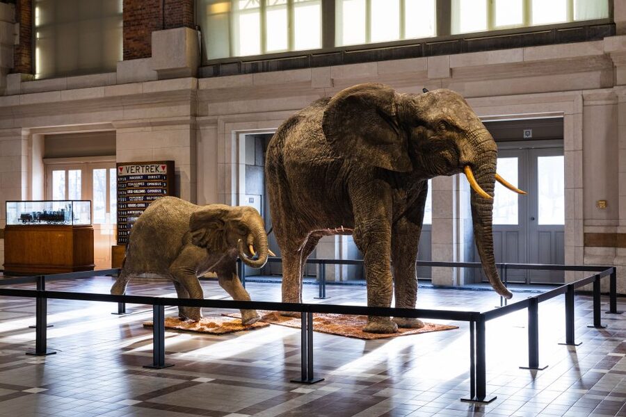 Brussels: Train World Museum Entrance Ticket - Filou’Sophe lunch break: how to pace your visit