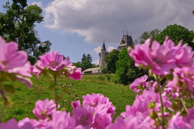 Castle Guided Tour (English) - Price and value: $10.13 for a compact, guided cultural stop