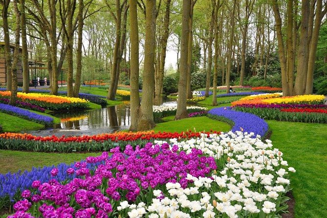 Delft and Keukenhof Gardens Tour from Brussels - Brussels to Delft and Keukenhof on one coach day