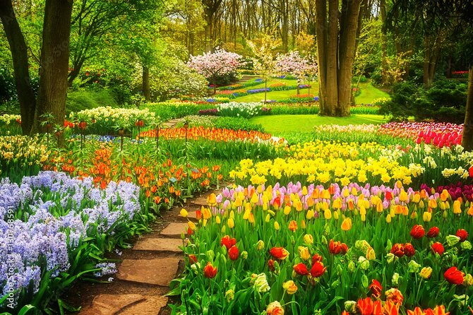 Delft and Keukenhof Gardens Tour from Brussels - Keukenhof in 3 hours: how to get the most from the gardens