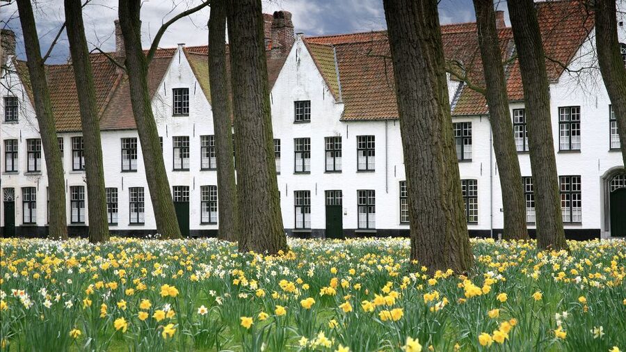 From Amsterdam: Bruges Day Trip in English with Boat Option - Djiver canal, Walplein, and Stoofstraat: where the medieval streets feel real