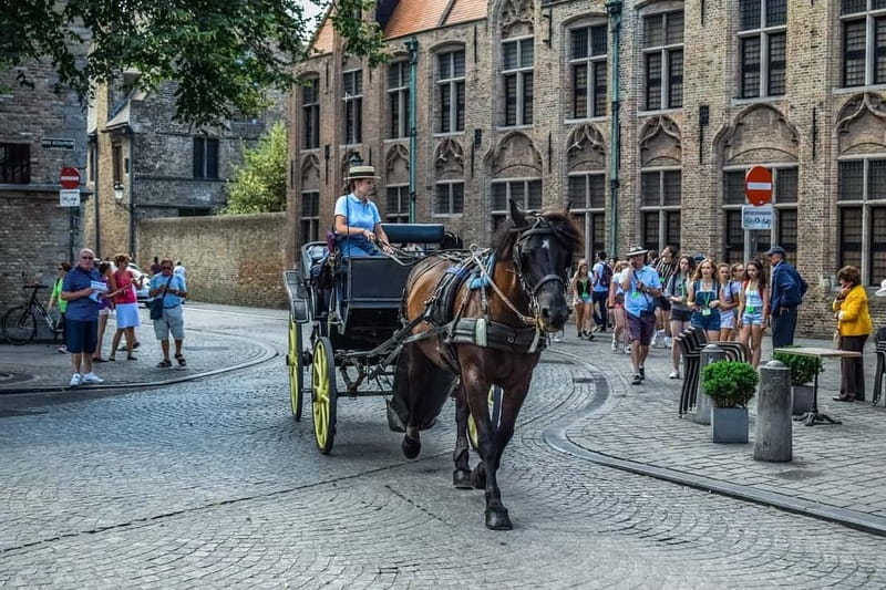 From Amsterdam: Private Sightseeing Tour to Bruges - Your Bruges walking plan: canals, squares, and photo stops