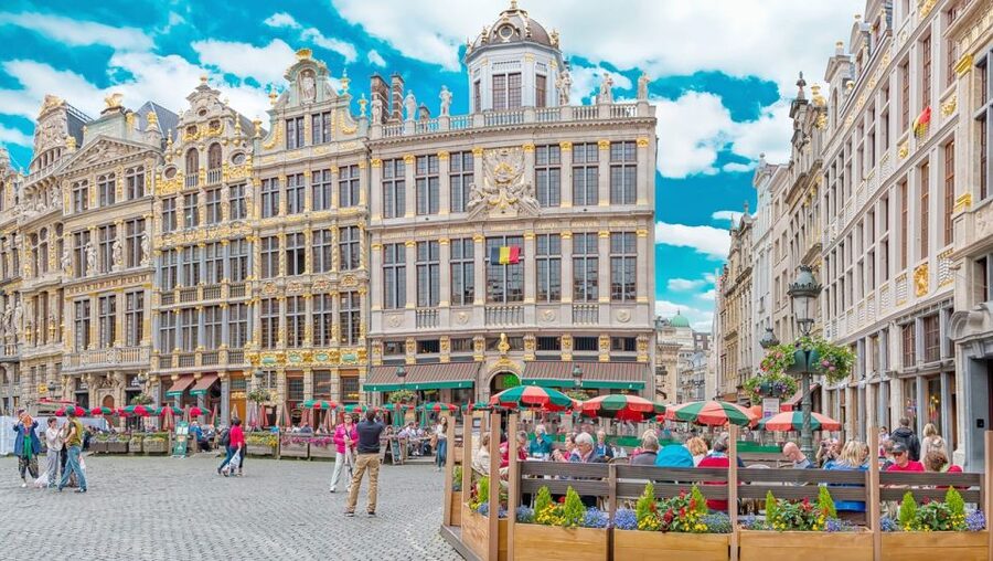 From Amsterdam: Private Sightseeing Trip to Brussels - How the day works with a self-guided Brussels window