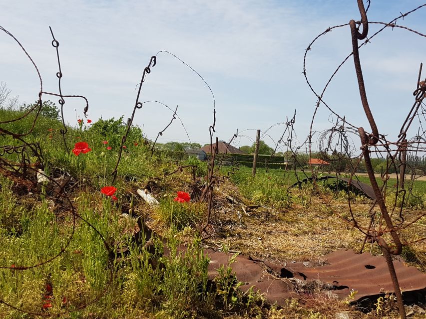 From Bruges: Great War Flanders Fields Minibus Tour w/ Lunch - Price and value at about $130 for 9 hours