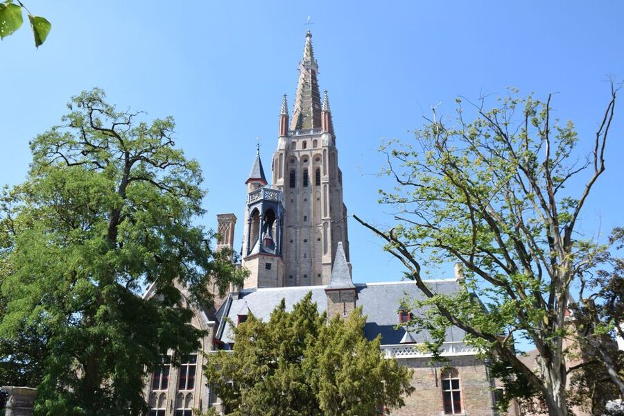 From Brussels: Bruges Private Tour - Market square, Burg Square, and VisMarkt: big squares with real context