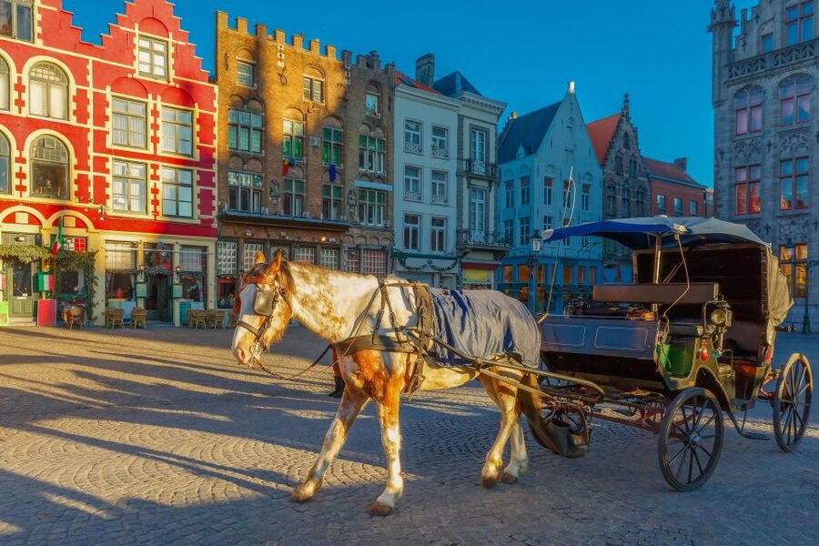 From Paris: Day Trip to Bruges with Optional Seasonal Cruise - Entering the medieval core: City Hall and Place du Bourg