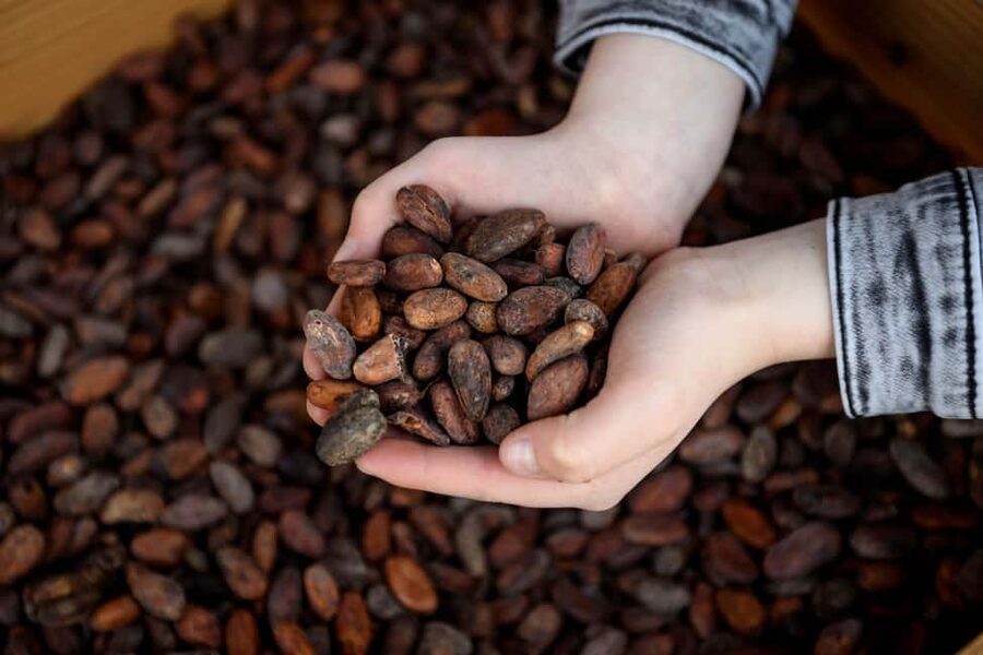 Heule: Chocolatier Vandenbulcke Chocolate Trail Tour - The €5 shop voucher: value you can use immediately