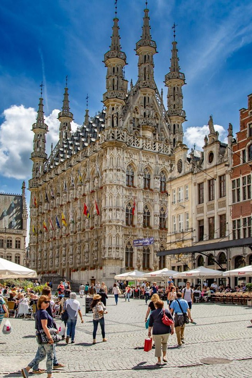 Historical Leuven: Private Walking Tour with a Local Guide - Languages and group size: choosing the comfort level you want