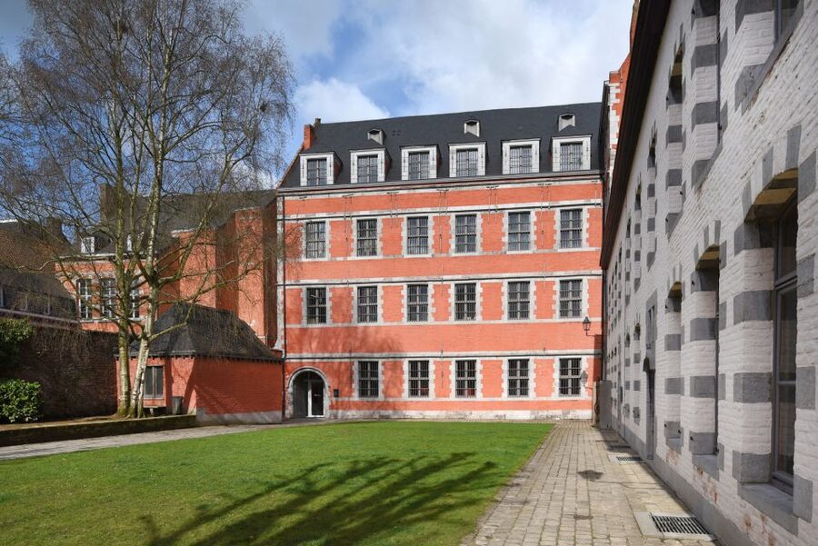 Mons : The Doudou Museum - What the Doudou Museum in Mons is really about