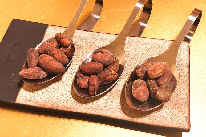Private Chocolate Experience in Ghent - Pairings and cacao education: the parts that make it more than bar tasting