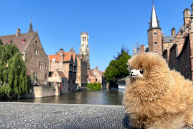 Private Full-Day Tour Bruges & Ghent from Brussels with tastings - Bruges with a local guide, chocolate and waffles at the finish