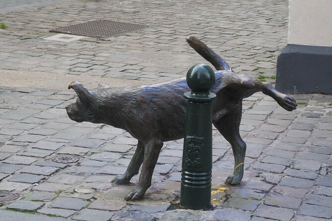 Private Half Day Tour of Brussels - How the Guide Keeps It Efficient, Without Making It Rushed