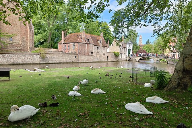 Private Highlights Walking Tour in Bruges - A private guide makes the difference, especially with real people