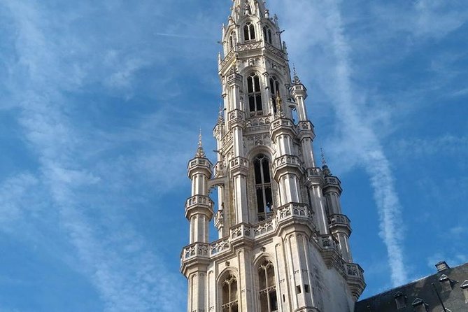 Private walking tour : Brussels historical city center Half Day - Manneken Pis next: the quick photo stop that does not feel rushed