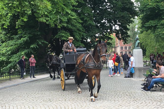 Round-Trip Shuttle Service from Zeebrugge to Bruges - Where You Meet, Where You Get On, And How You Avoid Getting Lost