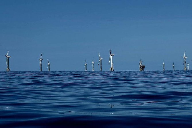 Unforgettable sea trip to the wind farms in the North Sea - What you can expect onboard: comfort and useful extras