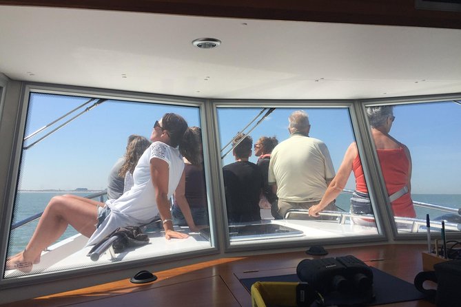 Unforgettable sea trip to the wind farms in the North Sea - Timing, advance booking, and how to plan your day